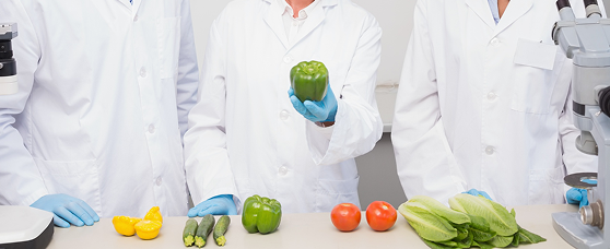 Food safety work with protective clothing